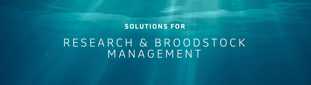 Solutions for research and broodstock